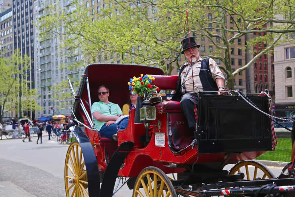 turister bliver kørt rundt i en hestretrukket karet i central park i new york